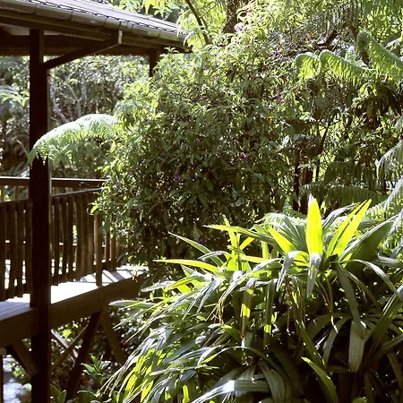 Lotus Garden Cottages-3